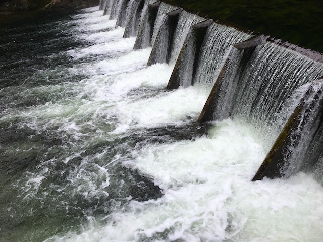 Exploring The Cleveland Dam And Capilano Hatchery - Onesmileymonkey.com