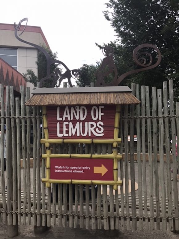 Visiting The Calgary Zoo and The New Land of Lemurs Habitat ...