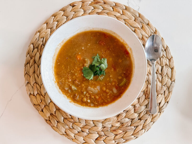 The Best Lentil Soup Recipe - OneSmileyMonkey.com