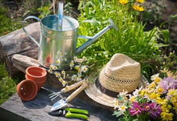 Gardening Tips for July: Keeping Your Garden Thriving During The Summer