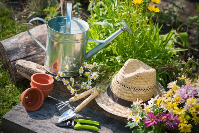 Gardening Tips for July: Keeping Your Garden Thriving During The Summer