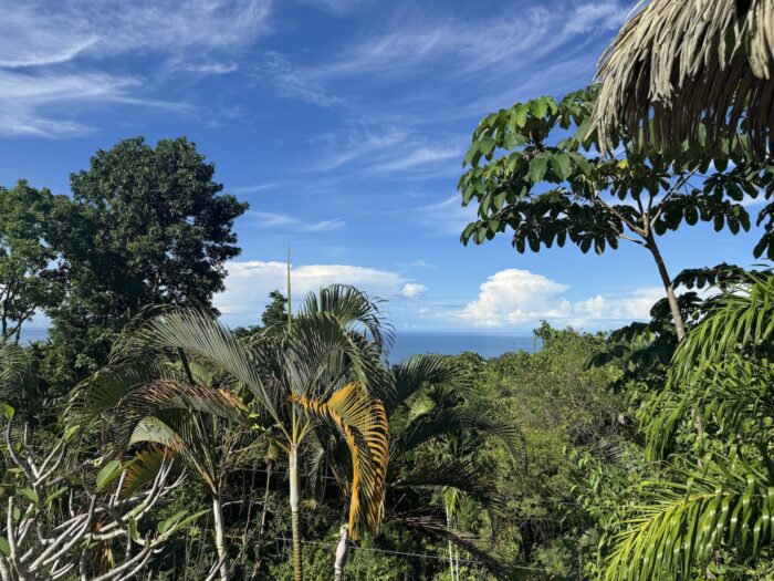 Essential Tips for Traveling to Costa Rica: What You Need to Know Before You Go