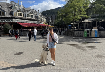  Travelling to Whistler, British Columbia with Your Dog