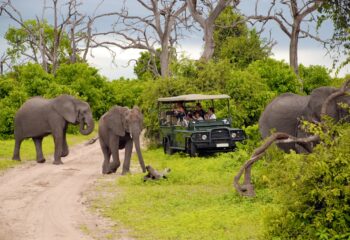 South Africa with Kids: The Ultimate Family Adventure